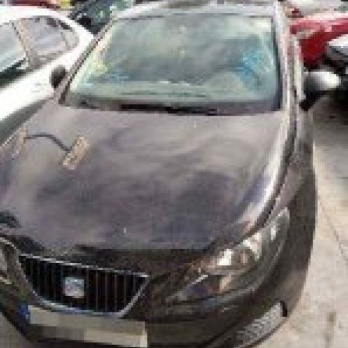 SEAT IBIZA 6J